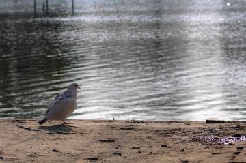 20140222-20140222-_DSC3632