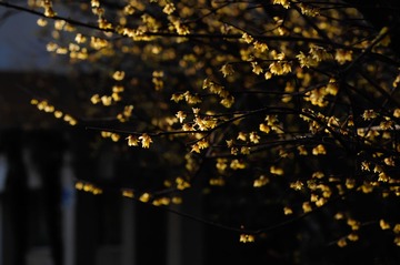 20140222-20140222-_DSC3661