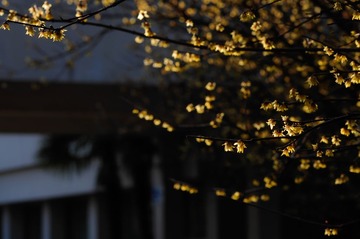 20140222-20140222-_DSC3662