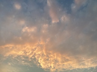 3813FFB1-7006-4758-AE8C-91F650CE18F8/L0/001