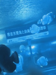 211609