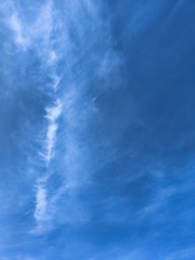 1000149441