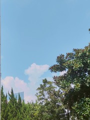 1000026374