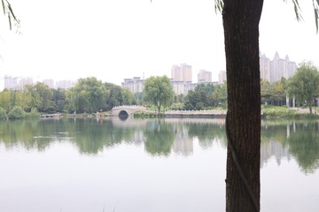D6549C18-9577-4223-BDD0-6E5CEAB1D7CF/L0/001