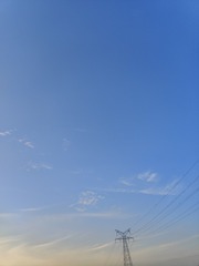 1000006169