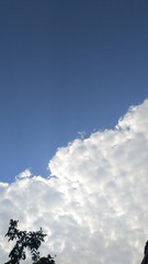 1130414