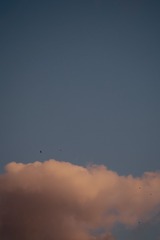 526021C5-59AE-4B0A-A850-C9938050E03E/L0/001
