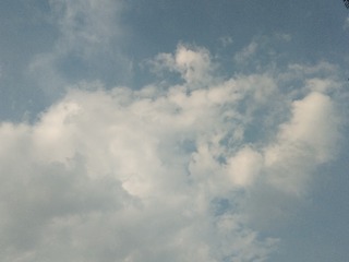 118335