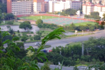 IMGP0246.JPG
