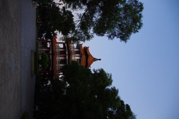 IMGP0266.JPG