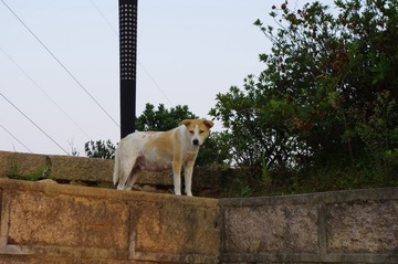 IMGP0298.JPG
