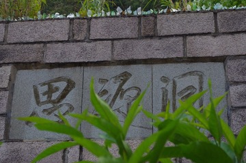 IMGP0245.JPG