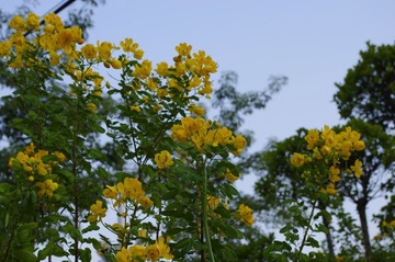 IMGP0257.JPG