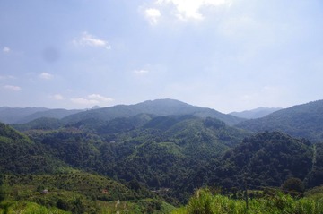 IMGP0338.JPG