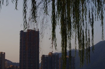 IMGP0369.JPG