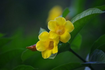 IMGP0418.JPG