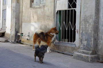 IMGP0672.JPG