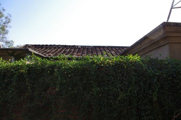 IMGP0709.JPG