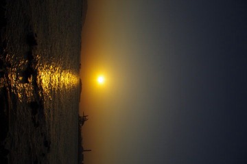 IMGP0942.JPG