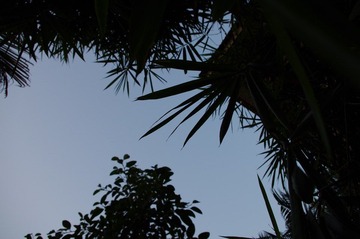 IMGP0958.JPG