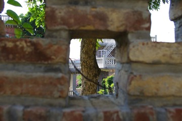 IMGP0726.JPG