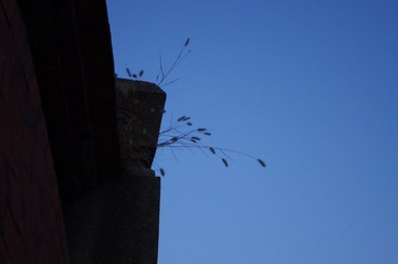 IMGP0752.JPG