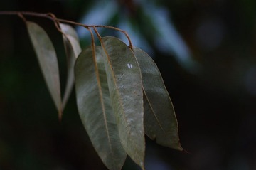 IMGP1770.JPG