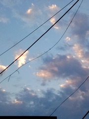1000002175