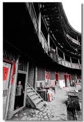 _DSC0113