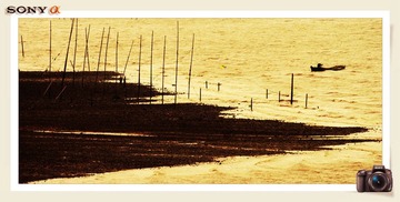 _DSC0419