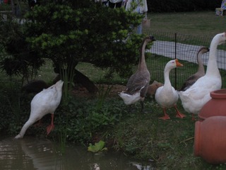 BD59B93E-B054-4F94-91BE-D6FAC040D8D6/L0/001