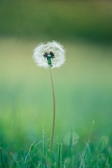 76A6975E-D1CB-4EEE-A3A9-D0E8E3CA66F1/L0/001