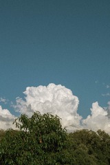 79A10848-BF5A-49AA-AED3-0B0CEBEE1D42/L0/001