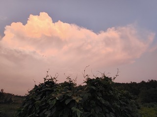 1000005247