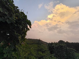 1000005226