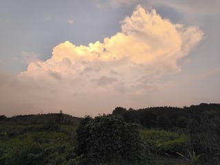 1000005234