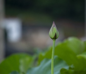 1000028702