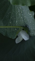 1000030517