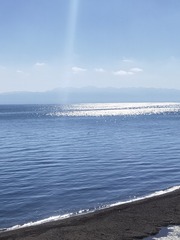 3182521