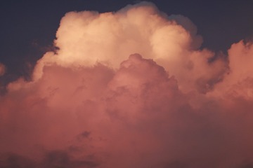 1000077515