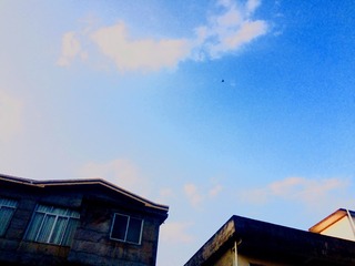 CCE754B3-1D0D-49DB-A437-B296E0679E79/L0/001