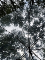 1320251