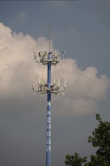 1000011030