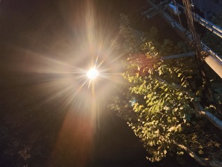1000026564