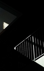 1000161927