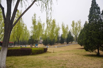 A3DDB9F9-38A3-4D07-ABAA-F9D98F6835F5/L0/001