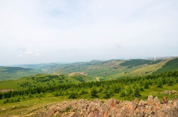 64F384EB-C497-45AA-8C13-C720492D2033/L0/001