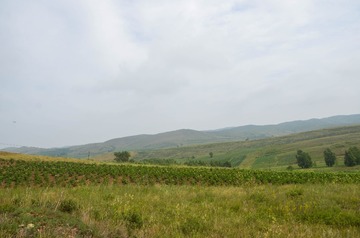550757CD-2544-4DCA-9E5A-2503C72F88AA/L0/001