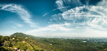 紫金山南麓