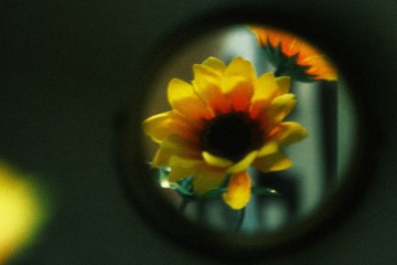 F261E64D-E301-4D08-81CD-642C8BD1CB4A/L0/001